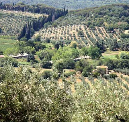 Podere Uccelliera