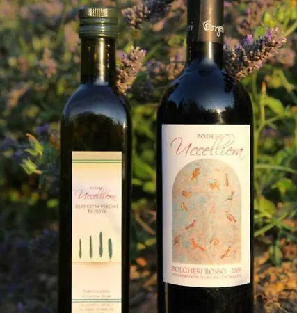 Podere Uccelliera Holiday home *