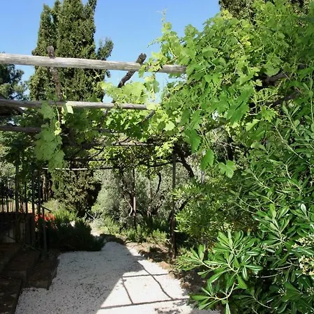 Podere Uccelliera Holiday home