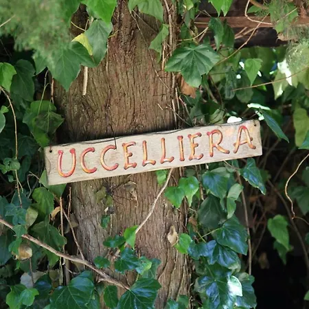 Holiday home Podere Uccelliera *