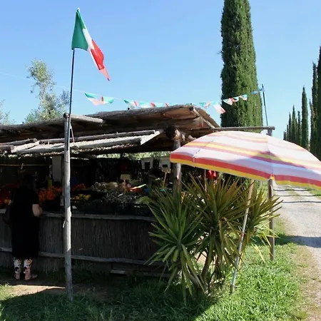 Podere Uccelliera Holiday home Castagneto Carducci