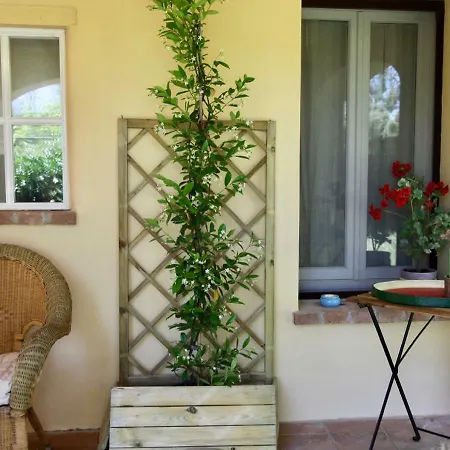Holiday home Podere Uccelliera Castagneto Carducci